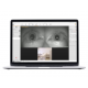 Vidéoscope Synapsys - Inventis